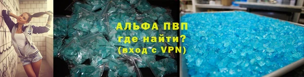 дмт Дмитров