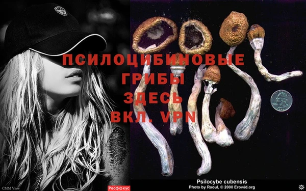 мет Дмитриев