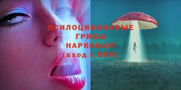 дмт Дмитровск