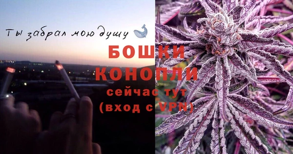 мет Дмитриев