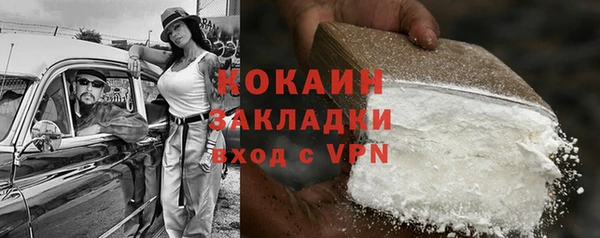 дмт Дмитров
