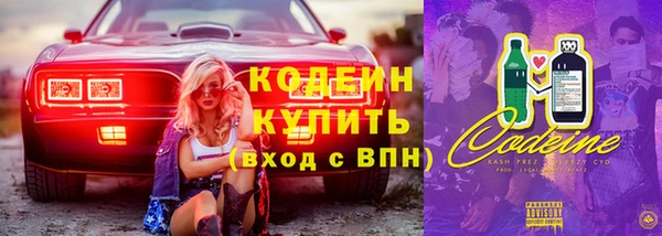 дмт Дмитров