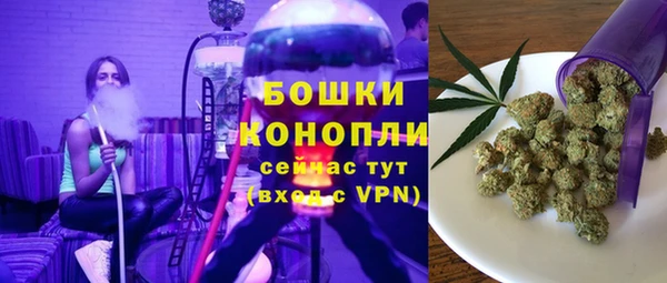 мет Дмитриев