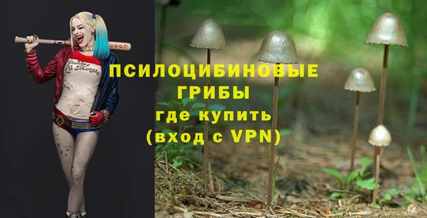 дмт Дмитровск