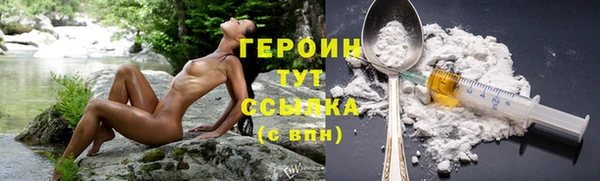 дмт Дмитров