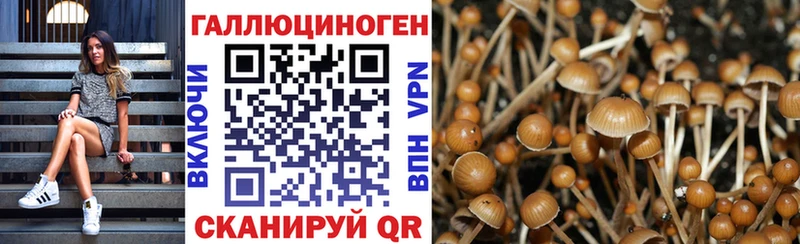 Псилоцибиновые грибы Psilocybe  Купить где  Киржач 